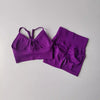 2 Pcs Yoga Sets Women High Waist Workout Outfits
