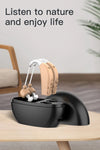 Rechargeable Portable Hearing Aid for the Elderly