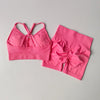 2 Pcs Yoga Sets Women High Waist Workout Outfits