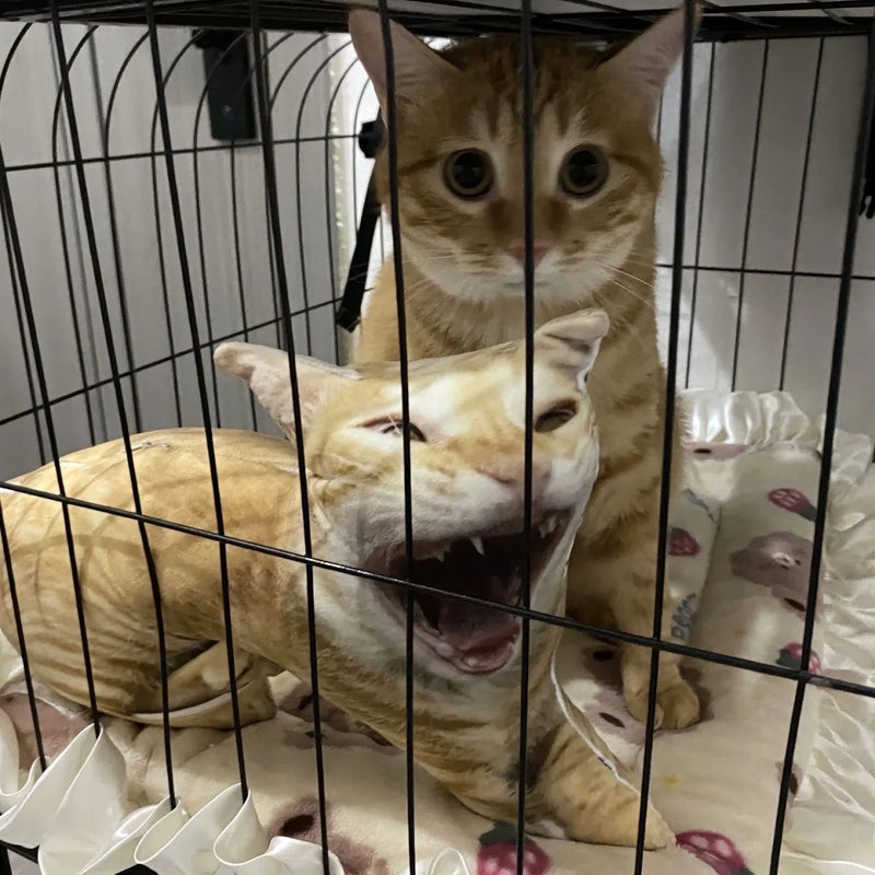 Photo Custom Shape Pillow Case DIY Pet Cushion