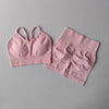 2 Pcs Yoga Sets Women High Waist Workout Outfits