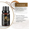 MAYJAM 10ML Fruit Fragrance Oil