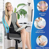 Orthopedic Memory Foam Seat Cushion – U-Shaped Comfort & Support