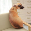 Soft Lifelike Animal Throw Pillow