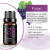 MAYJAM 10ML Fruit Fragrance Oil