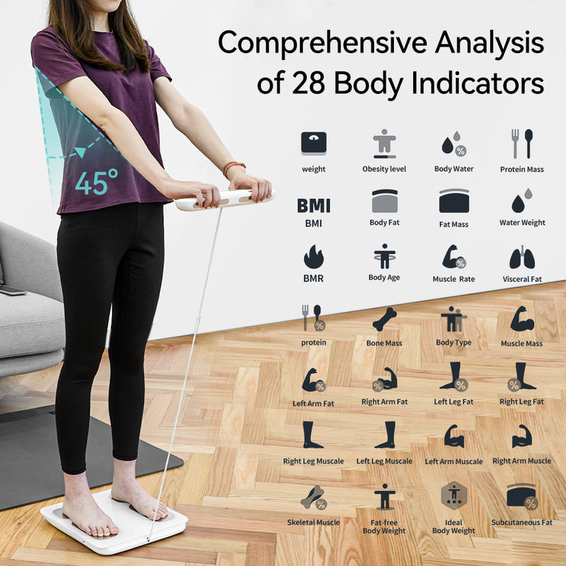 Fitdays Body Weight & Fat Percentage Scale