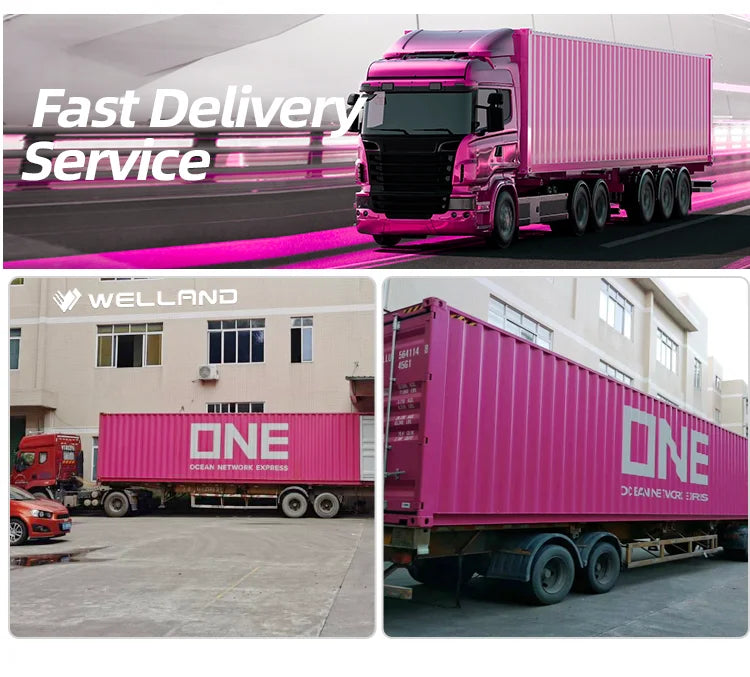 Fitdays Body Weight & Fat Percentage Scale