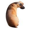 Soft Lifelike Animal Throw Pillow