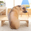 Soft Lifelike Animal Throw Pillow