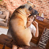 Soft Lifelike Animal Throw Pillow