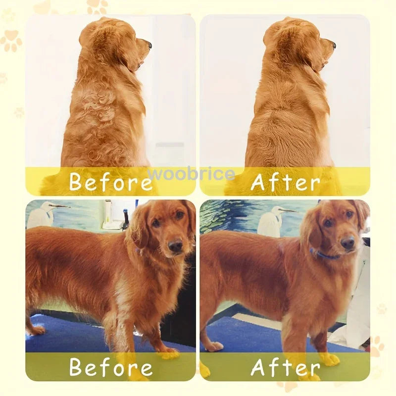 3-in-1 Electric Pet Steam Brush – Grooming, Detangling & Massage Tool