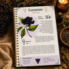 Ancient Remedies Healing Handbook 2026 – Herbal Medicine & Natural Home Remedies Guide