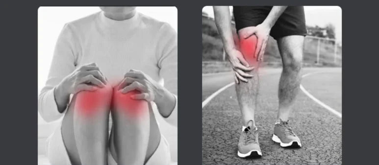 Self-Heating Knee Brace with Mugwort Warmth – Long Knee Support