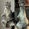 Photo Custom Shape Pillow Case DIY Pet Cushion